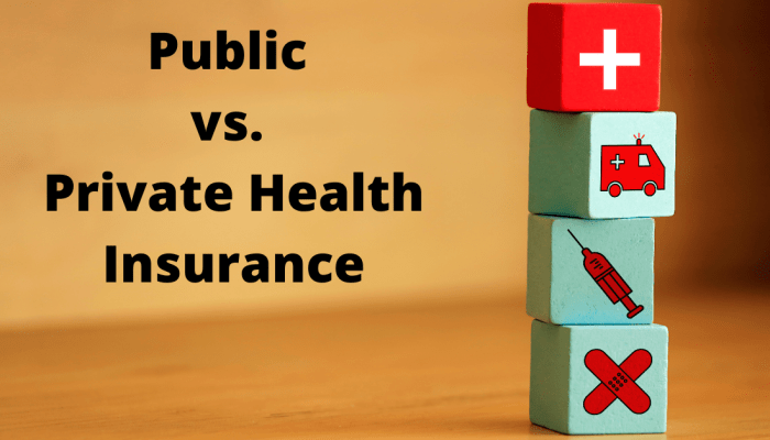 Public vs. Private Health Insurance Health Insurance Providers